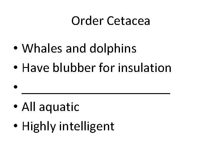 Order Cetacea • Whales and dolphins • Have blubber for insulation • ___________ •