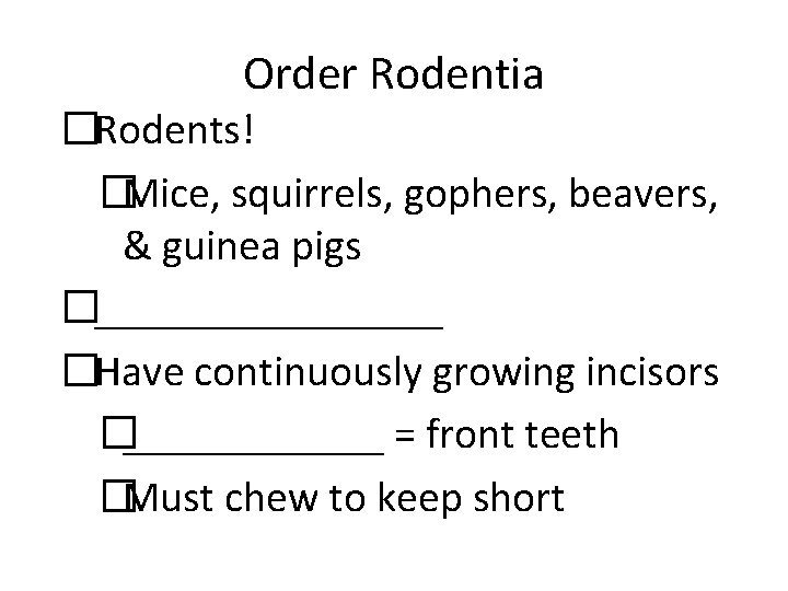 Order Rodentia �Rodents! �Mice, squirrels, gophers, beavers, & guinea pigs �________ �Have continuously growing