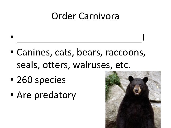 Order Carnivora • ____________! • Canines, cats, bears, raccoons, seals, otters, walruses, etc. •