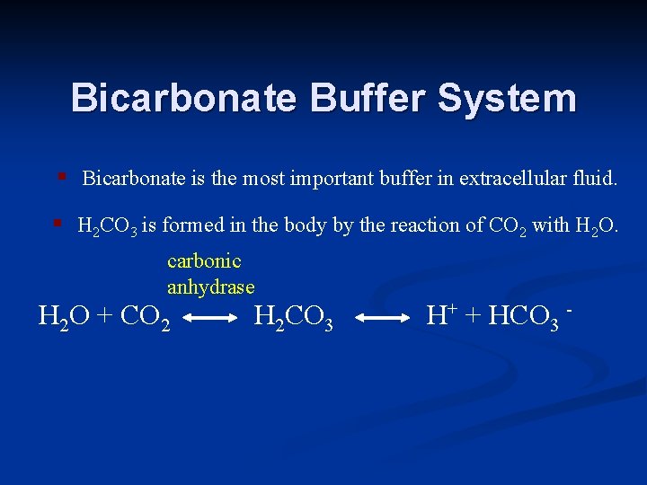 Bicarbonate Buffer System § Bicarbonate is the most important buffer in extracellular fluid. §