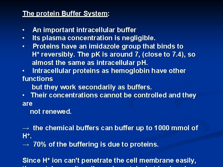 The protein Buffer System: • • • An important intracellular buffer Its plasma concentration