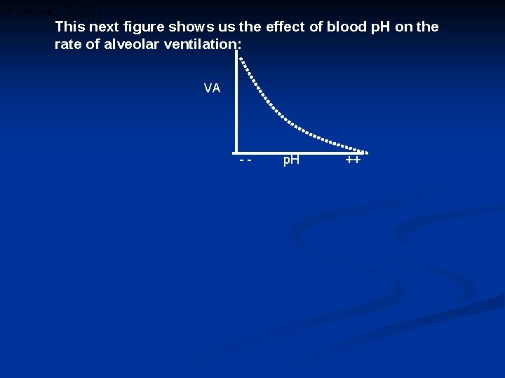 This next figure shows us the effect of blood p. H on the rate