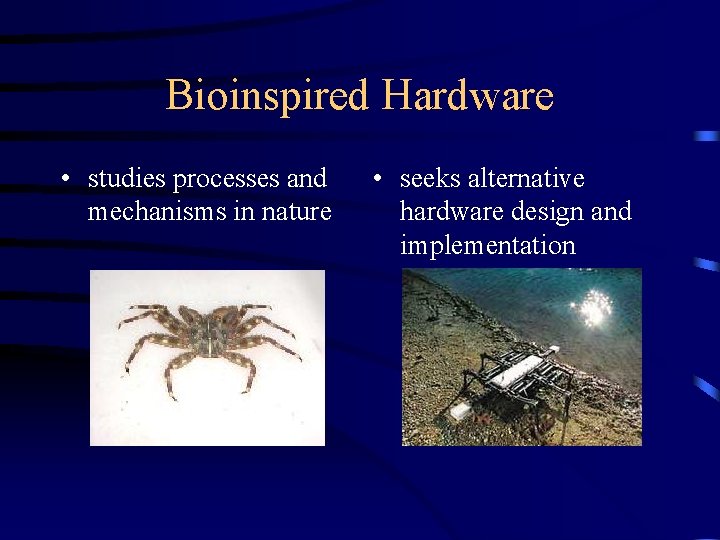 Bioinspired Hardware • studies processes and mechanisms in nature • seeks alternative hardware design