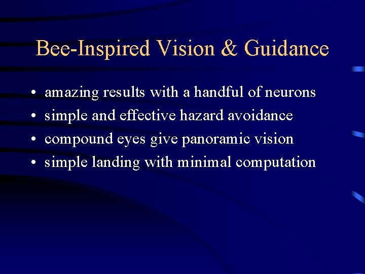 Bee-Inspired Vision & Guidance • • amazing results with a handful of neurons simple