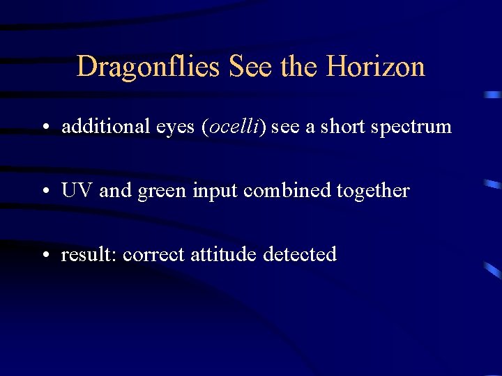 Dragonflies See the Horizon • additional eyes (ocelli) see a short spectrum • UV