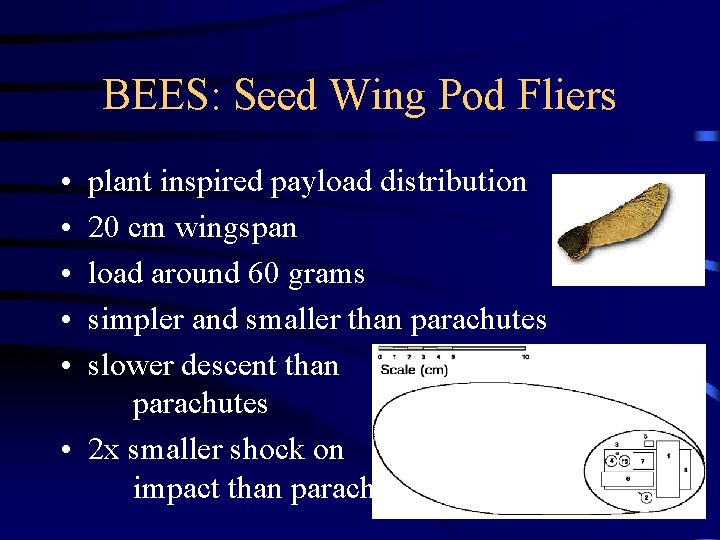 BEES: Seed Wing Pod Fliers • • • plant inspired payload distribution 20 cm