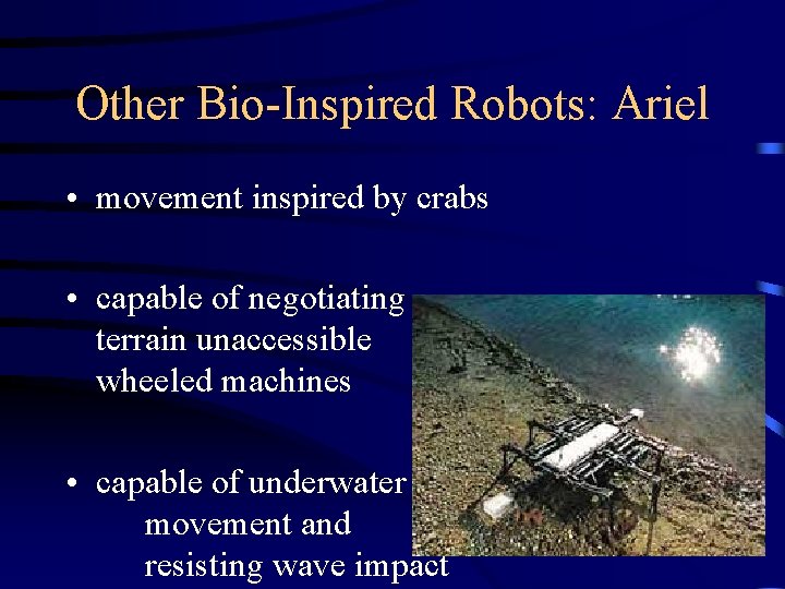 Other Bio-Inspired Robots: Ariel • movement inspired by crabs • capable of negotiating terrain