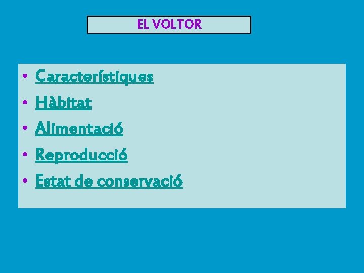 EL VOLTOR • • • Característiques Hàbitat Alimentació Reproducció Estat de conservació 