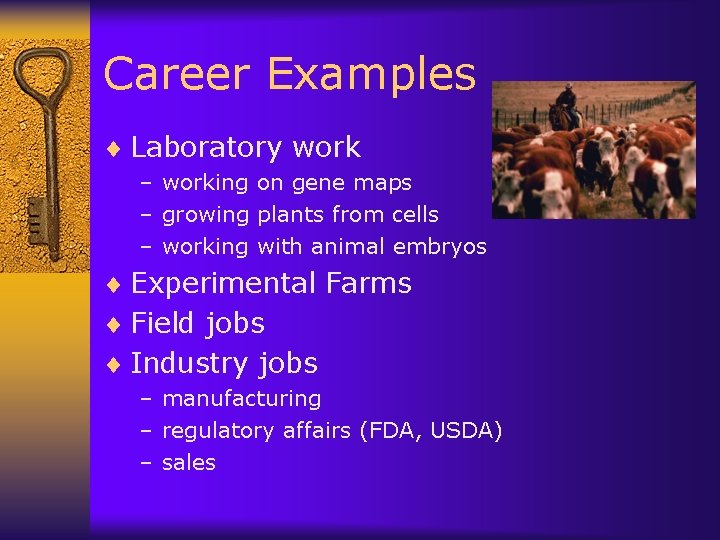 Career Examples ¨ Laboratory work – working on gene maps – growing plants from