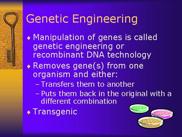 Genetic Engineering ¨ Manipulation of genes is called genetic engineering or recombinant DNA technology