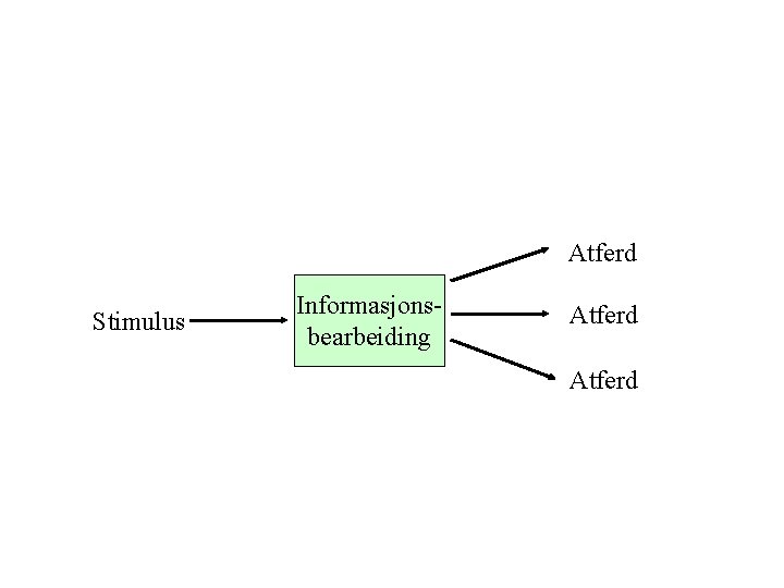 Atferd Stimulus Informasjonsbearbeiding Atferd 