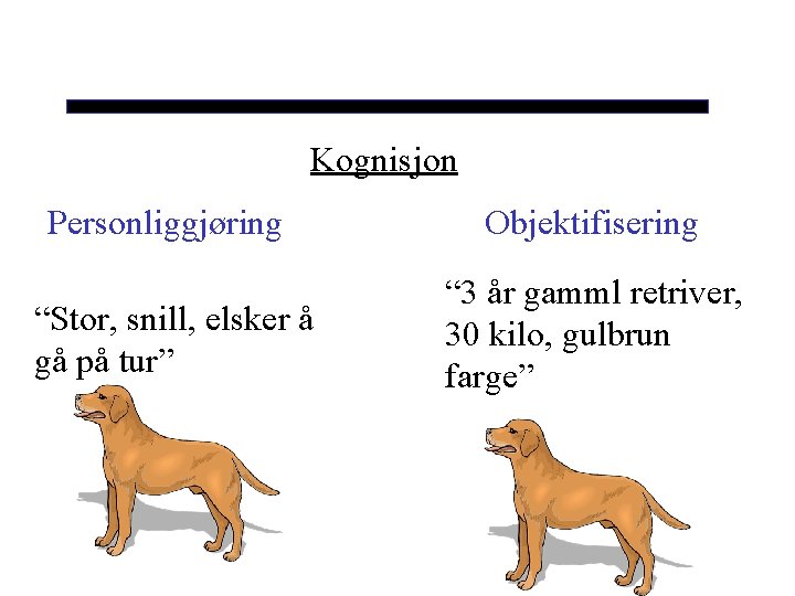 Kognisjon Personliggjøring Objektifisering “Stor, snill, elsker å gå på tur” “ 3 år gamml