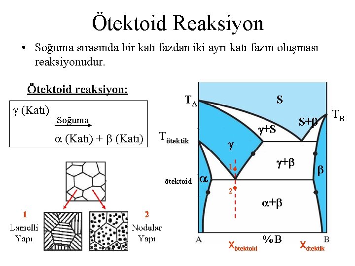 Ötektoid Reaksiyon • Soğuma sırasında bir katı fazdan iki ayrı katı fazın oluşması reaksiyonudur.