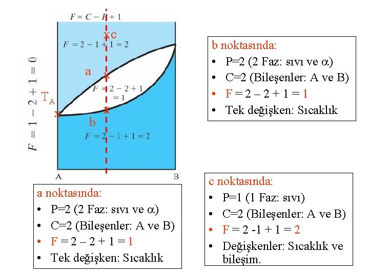 b noktasında: • P=2 (2 Faz: sıvı ve ) • C=2 (Bileşenler: A ve