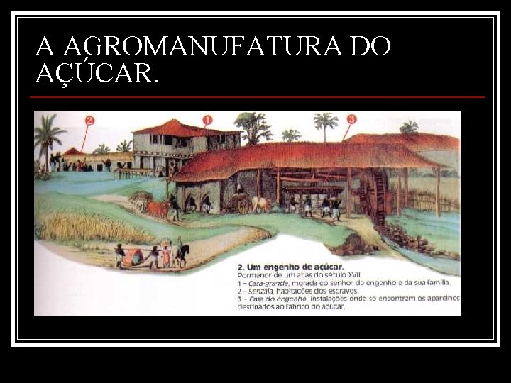 A AGROMANUFATURA DO AÇÚCAR. 