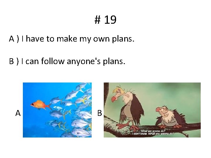 # 19 A ) I have to make my own plans. B ) I