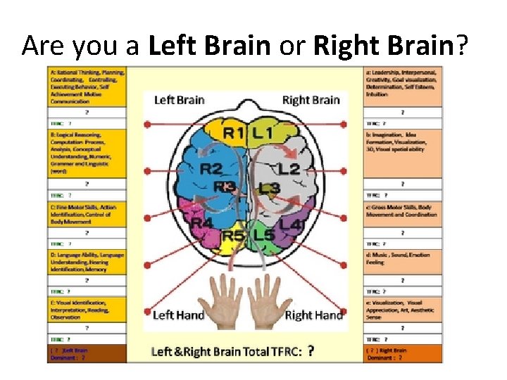 Are you a Left Brain or Right Brain? 
