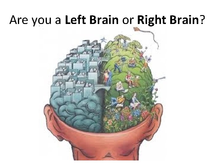 Are you a Left Brain or Right Brain? 