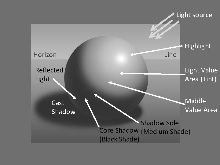 Light source Horizon Reflected Light Cast Shadow Line Highlight Light Value Area (Tint) Middle