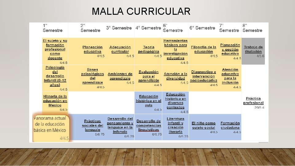 MALLA CURRICULAR 