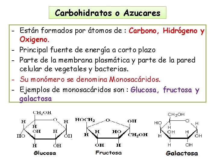 Son Los Azúcares Simples Formados Por Carbono Hidrógeno Y Oxígeno