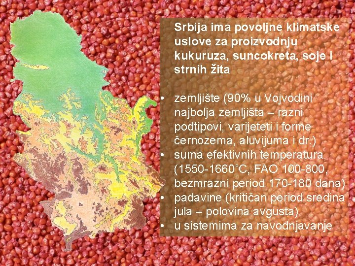 Srbija ima povoljne klimatske uslove za proizvodnju kukuruza, suncokreta, soje i strnih žita •