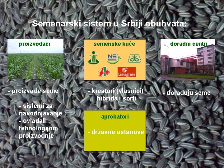 Semenarski sistem u Srbiji obuhvata: proizvođači semenske kuće - proizvode seme - kreatori (vlasnici)