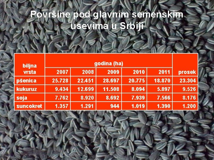 Površine pod glavnim semenskim usevima u Srbiji godina (ha) biljna vrsta 2007 2008 2009