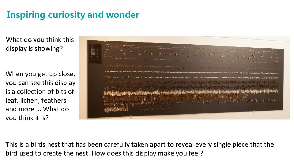 Inspiring curiosity and wonder What do you think this display is showing? When you