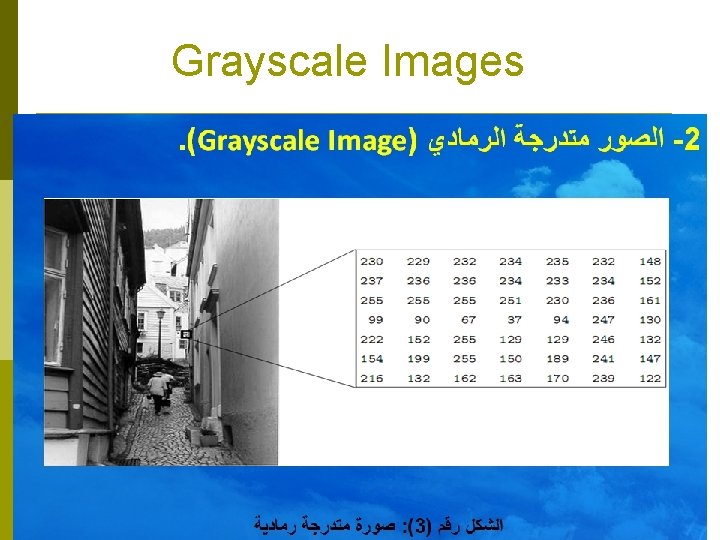 Grayscale Images Grayscale Images