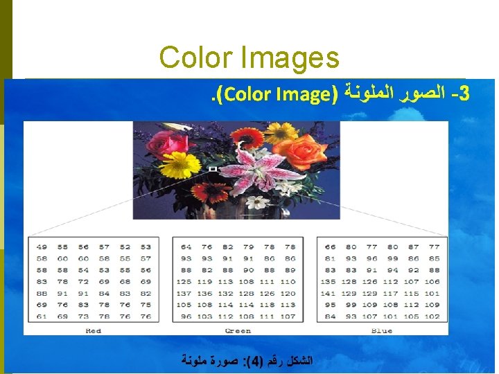 Color Images Color Images