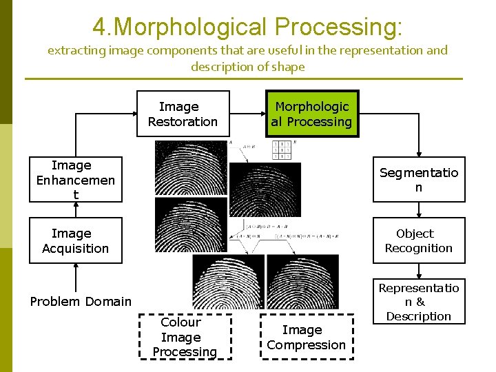 4. Morphological Processing: extracting image components that are useful in the representation and description 4. Morphological Processing: extracting image components that are useful in the representation and description