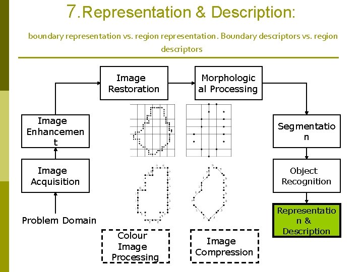 7. Representation & Description: boundary representation vs. region representation. Boundary descriptors vs. region descriptors 7. Representation & Description: boundary representation vs. region representation. Boundary descriptors vs. region descriptors