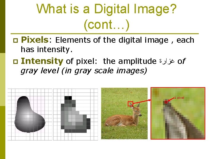 What is a Digital Image? (cont…) p Pixels: Elements of the digital image , What is a Digital Image? (cont…) p Pixels: Elements of the digital image ,