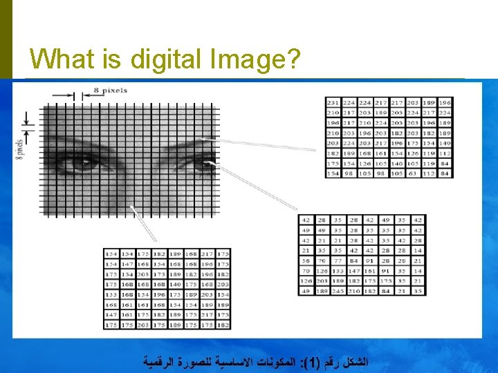 What is digital Image? What is digital Image?