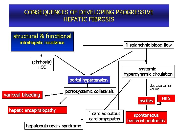 CONSEQUENCES OF DEVELOPING PROGRESSIVE HEPATIC FIBROSIS structural & functional intrahepatic resistance splanchnic blood flow