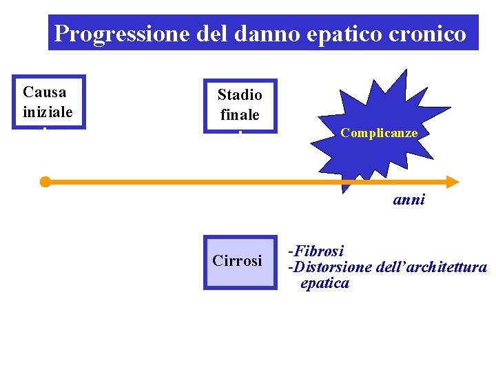 Progressione del danno epatico cronico Causa iniziale Stadio finale Complicanze ● anni Cirrosi -Fibrosi