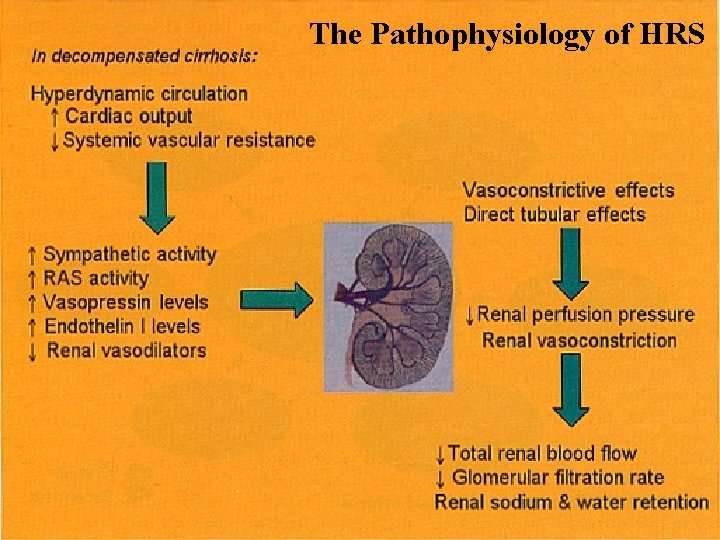 The Pathophysiology of HRS 