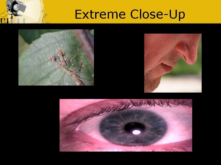 Extreme Close-Up 