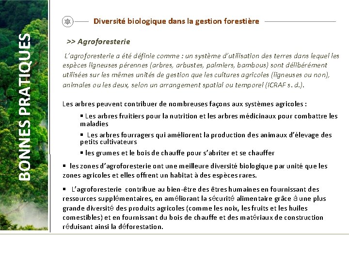 BONNES PRATIQUES Diversité biologique dans la gestion forestière >> Agroforesterie L’agroforesterie a été définie