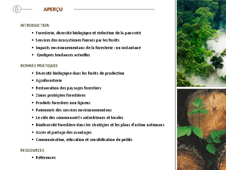  APERÇU INTRODUCTION § Foresterie, diversité biologique et réduction de la pauvreté § Services