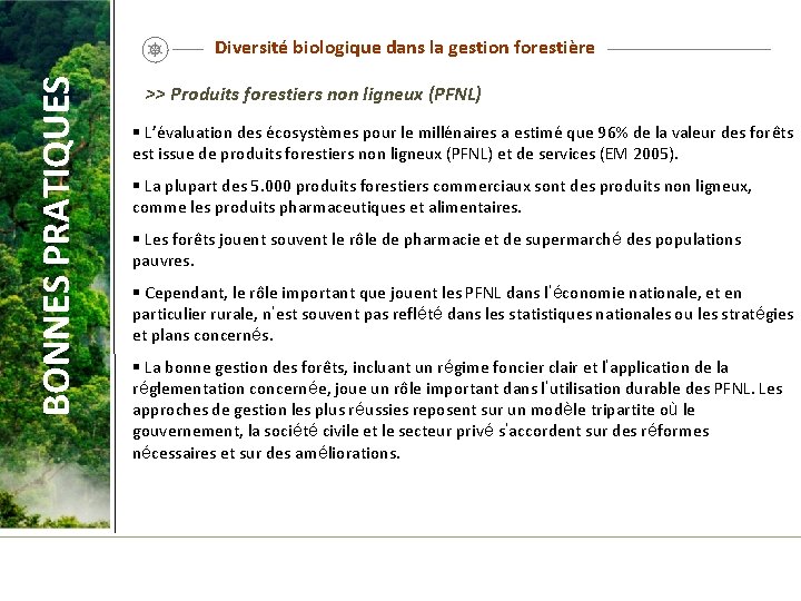 BONNES PRATIQUES Diversité biologique dans la gestion forestière >> Produits forestiers non ligneux (PFNL)