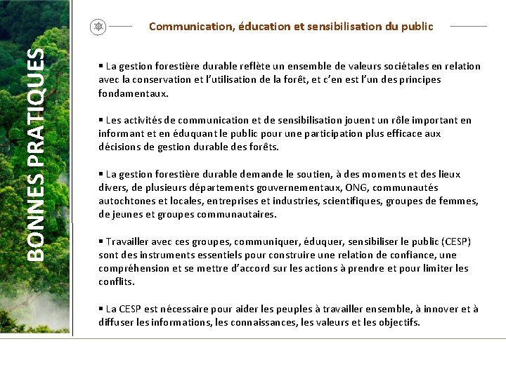 BONNES PRATIQUES Communication, éducation et sensibilisation du public § La gestion forestière durable reflète