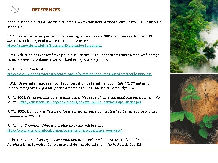 RÉFÉRENCES Banque mondiale. 2004. Sustaining Forests: A Development Strategy. Washington, D. C. : Banque