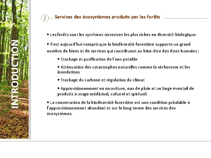 i Services des écosystèmes produits par les forêts INTRODUCTION § Les forêts sont les