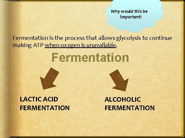 Why would this be important? Fermentation is the process that allows glycolysis to continue