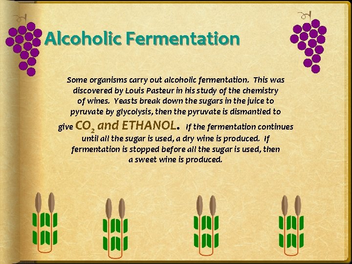 Alcoholic Fermentation Some organisms carry out alcoholic fermentation. This was discovered by Louis Pasteur