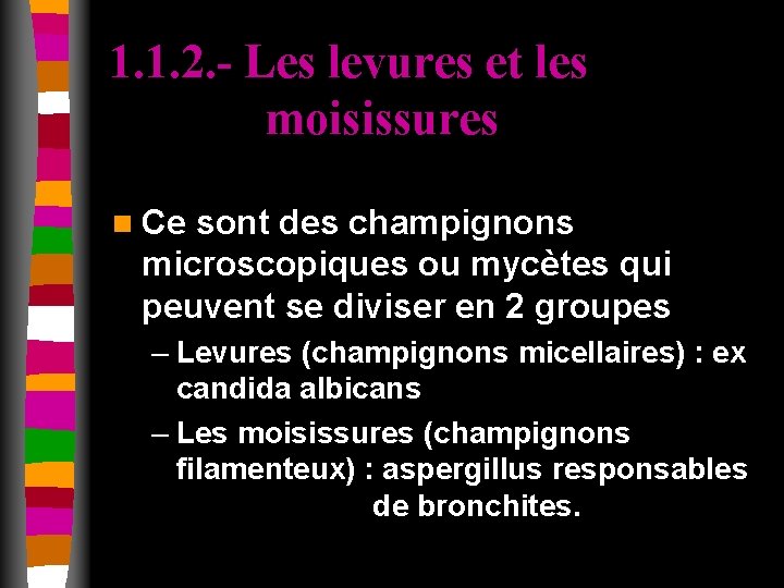 1. 1. 2. - Les levures et les moisissures n Ce sont des champignons