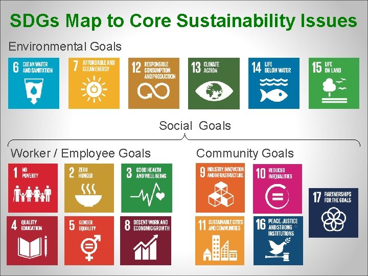 SDGs Map to Core Sustainability Issues Environmental Goals Social Goals Worker / Employee Goals