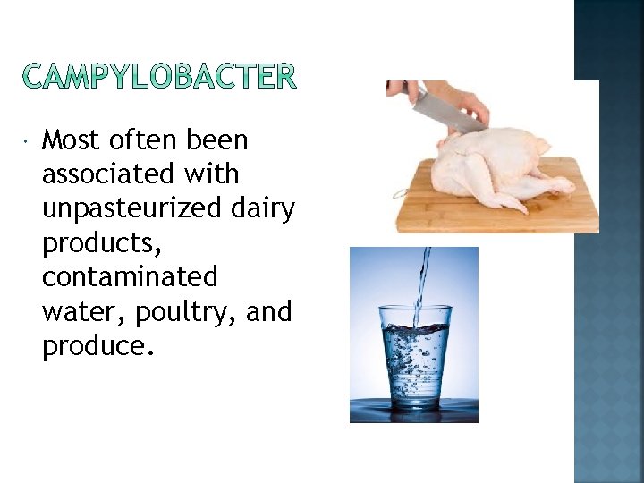  Most often been associated with unpasteurized dairy products, contaminated water, poultry, and produce.